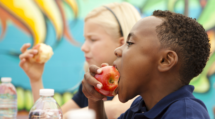 Boy with apple photo